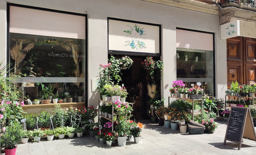 Une image contenant pot de fleurs, plante d’intérieur, bâtiment, magasinDescription générée automatiquement