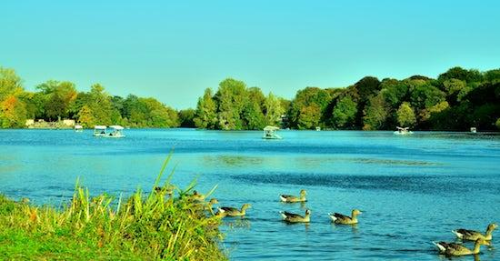 Parc de la Tête d'Or