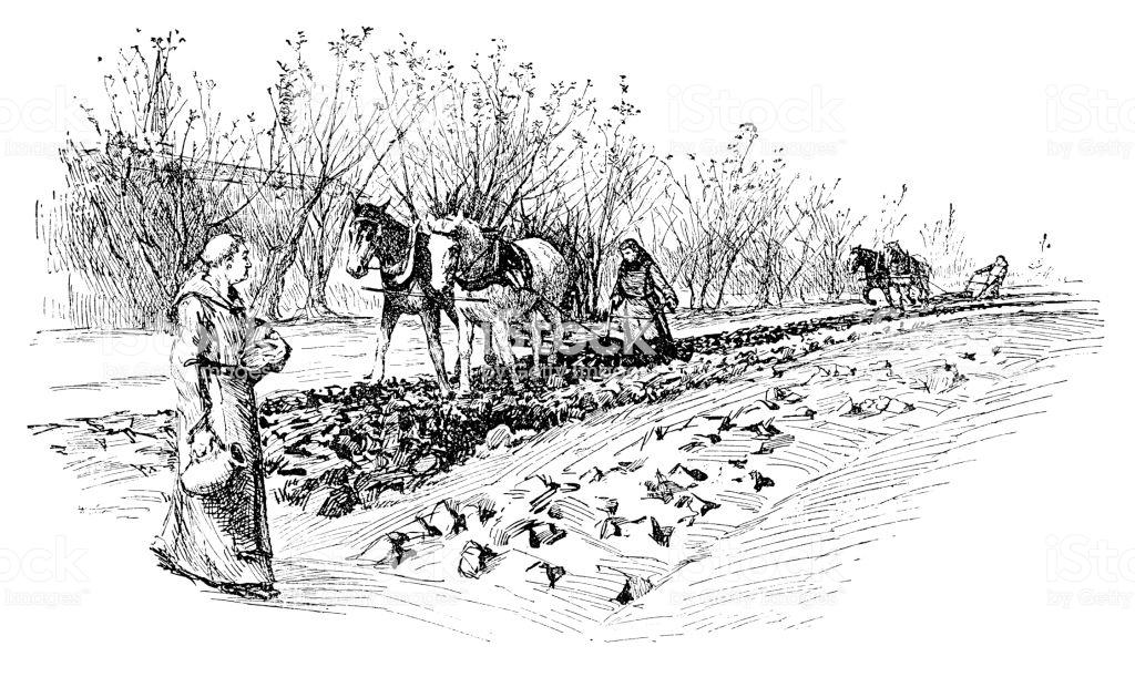 terre fertile