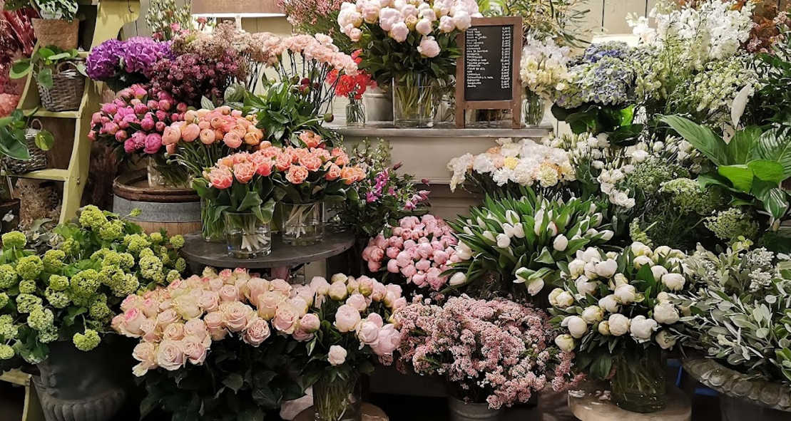 Une image contenant fleur, pot de fleurs, Fleuristerie, plante d’intérieurDescription générée automatiquement