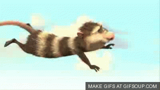 I believe I can fly