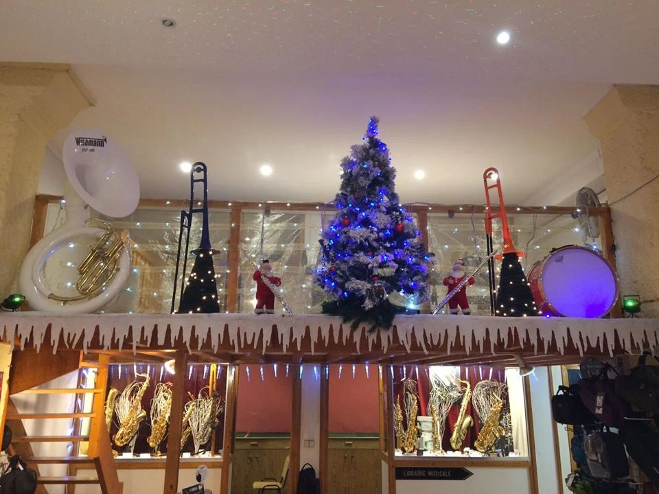 JS Musique - photo 2