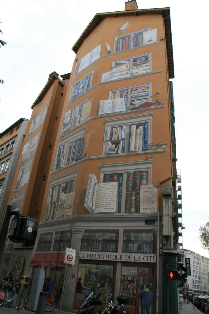 Lyon is yours - photo 3