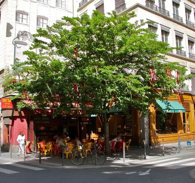 Broc'Bar - photo 2