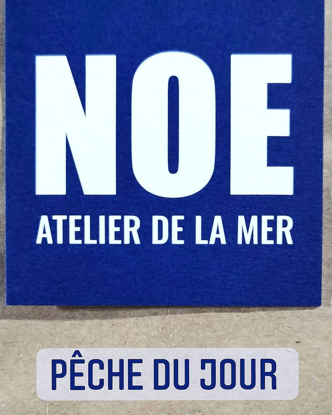 Noé - Atelier de la Mer - photo 2