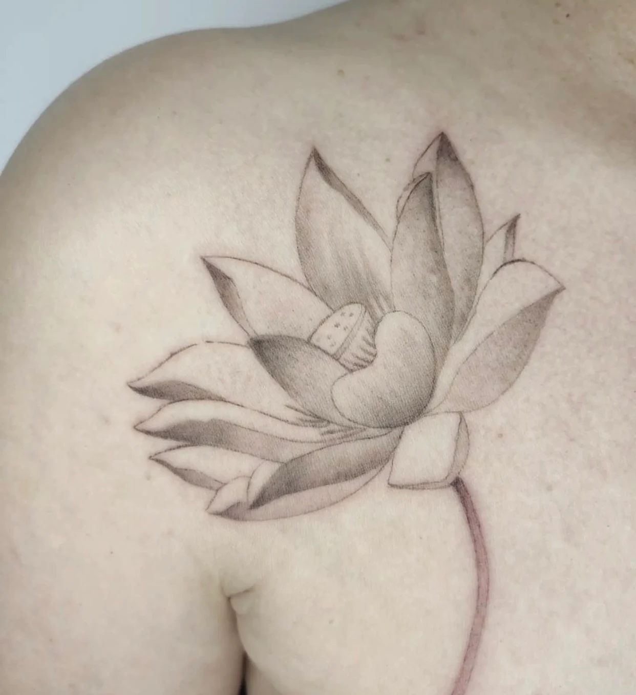 Blushink Tattoo - photo 4