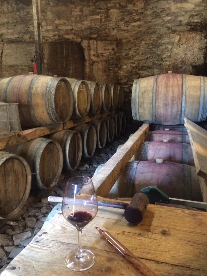 Vignes et Vins - photo 3