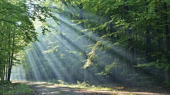 Clairvoyance Energétique - photo 2