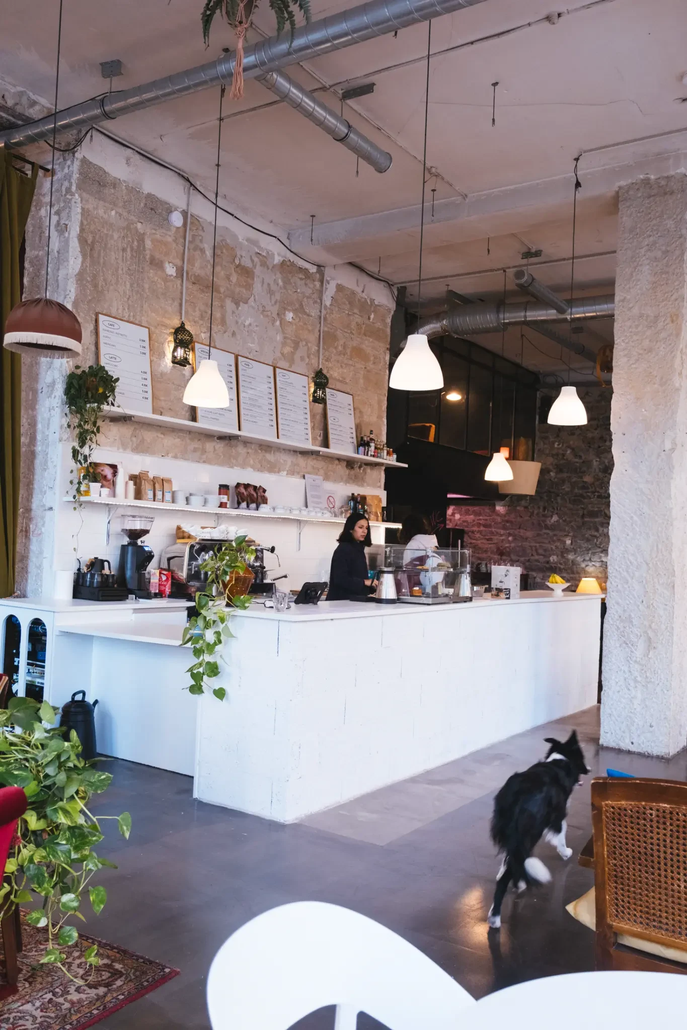 ballad café - photo 2