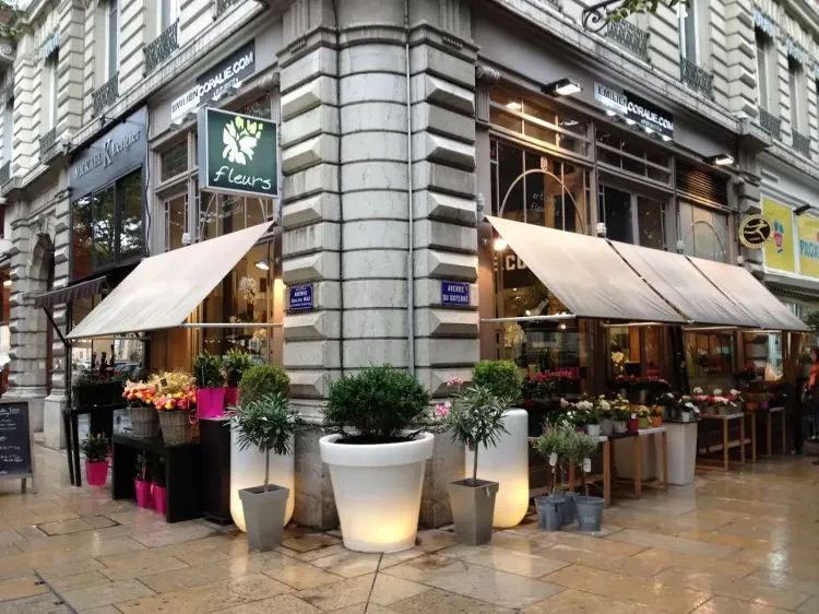 Maison Célestin (Lyon 6ème)