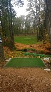 Golf Lyon Tassin - photo 2