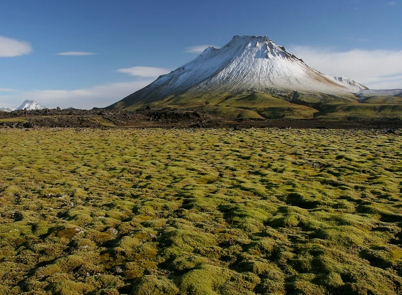 Terres Oubliées - photo 2