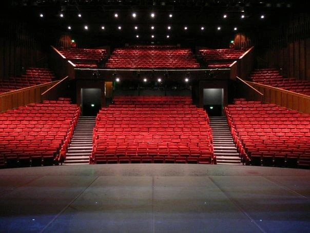 Maison de la Danse - photo 2