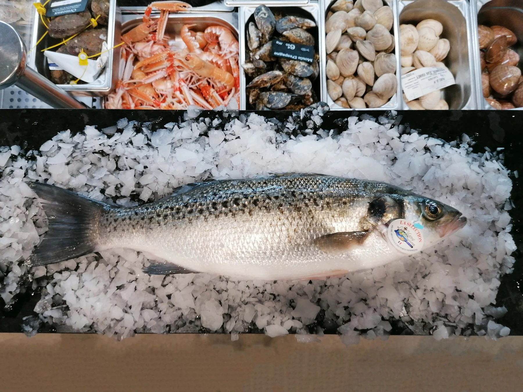Poissonnerie Vianey - Hôtel Dieu - photo 3