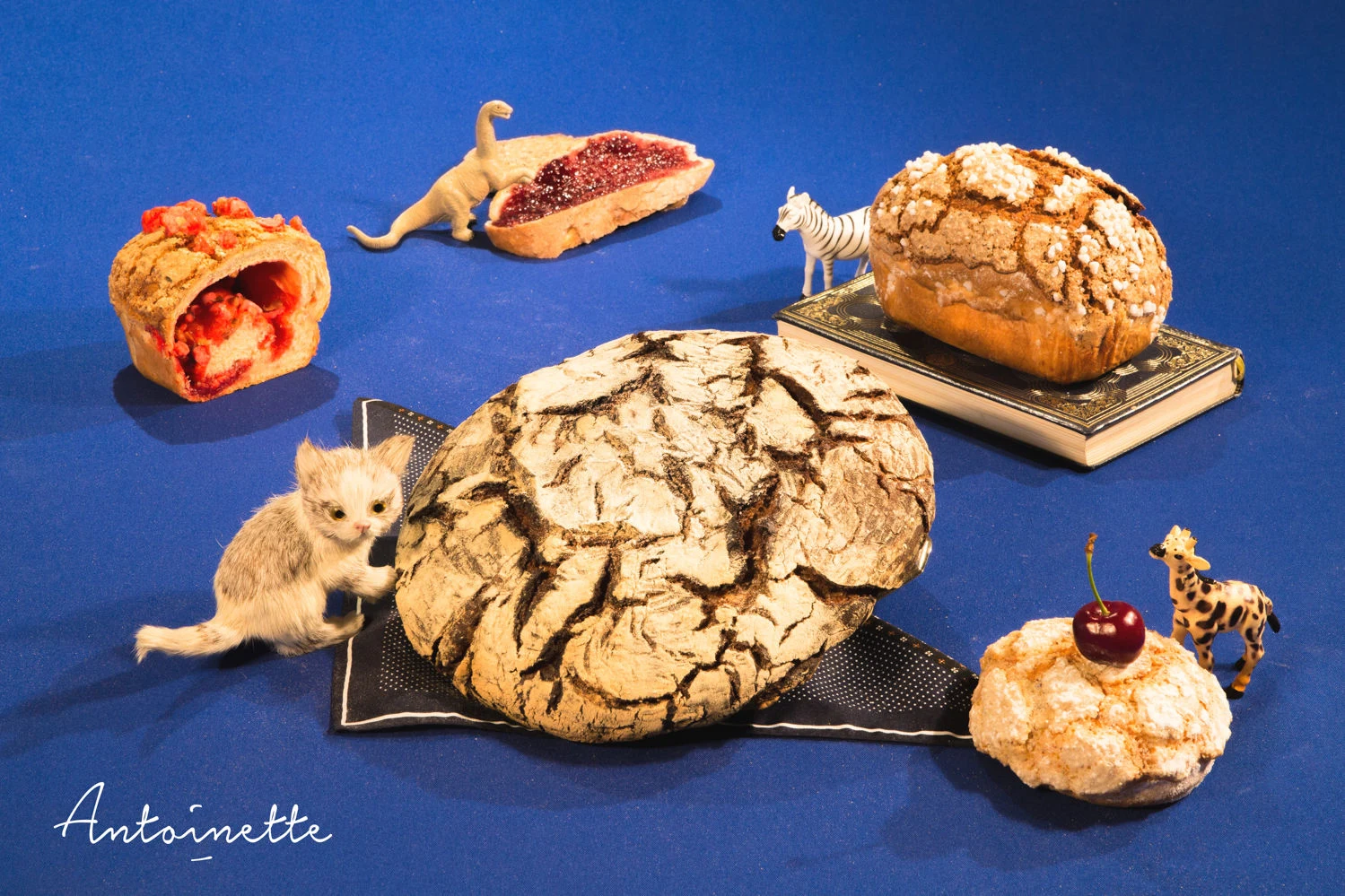 Antoinette Pain & Brioche (Terreaux)