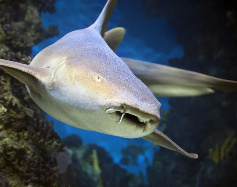 Aquarium de Lyon - photo 3