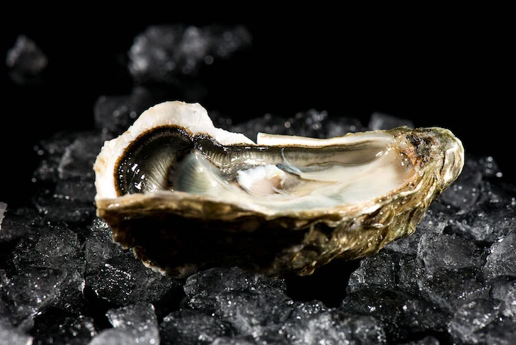Ecailler - Chez Georges - photo 3