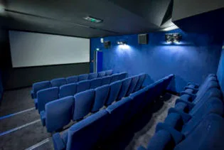 Cinéma - La Fourmi - photo 4