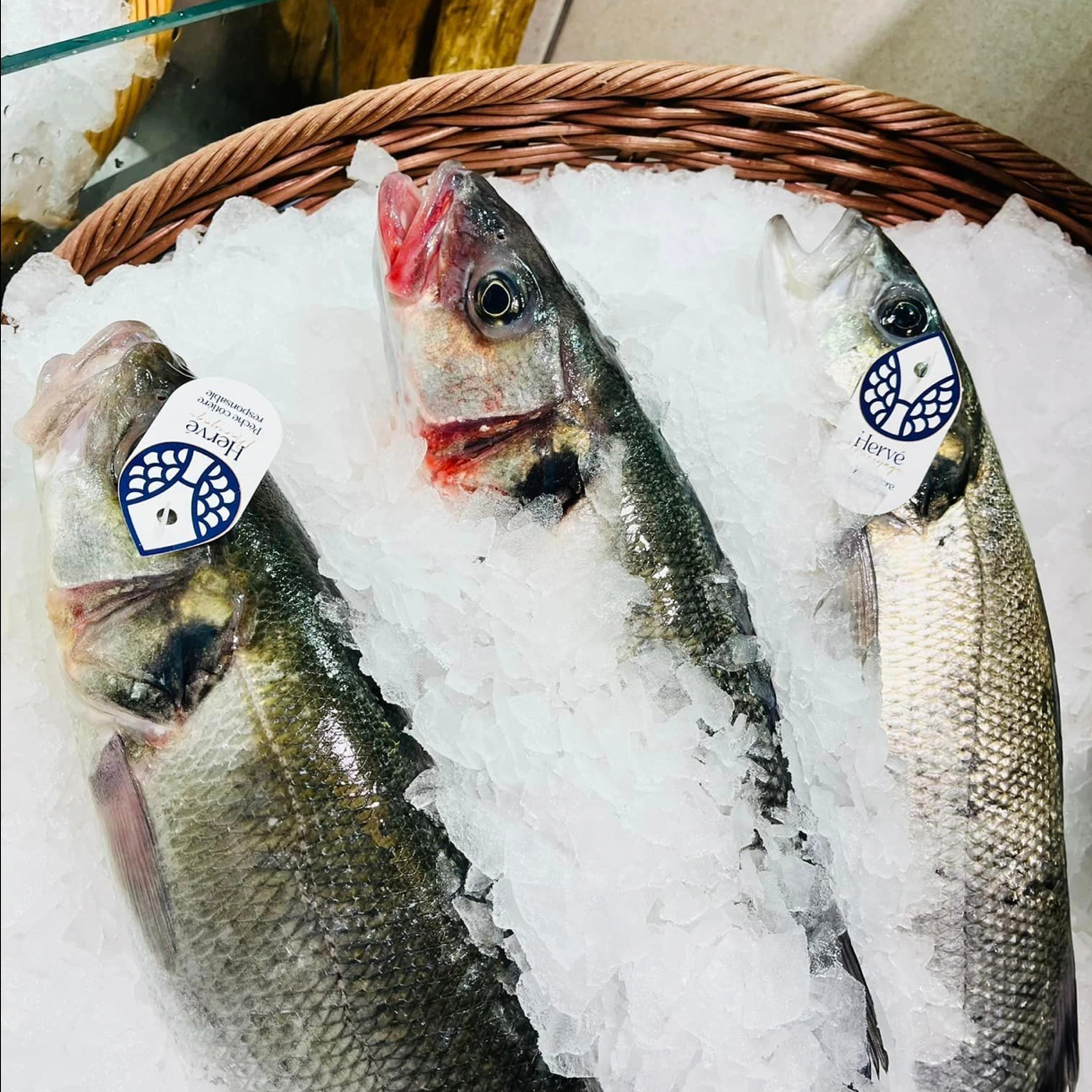 Le Comptoir de l'Océan - photo 4