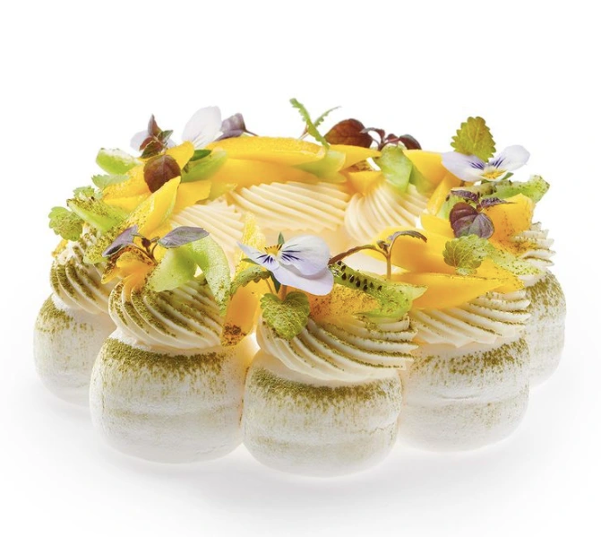 Pavlovas par Joël Maier - photo 2