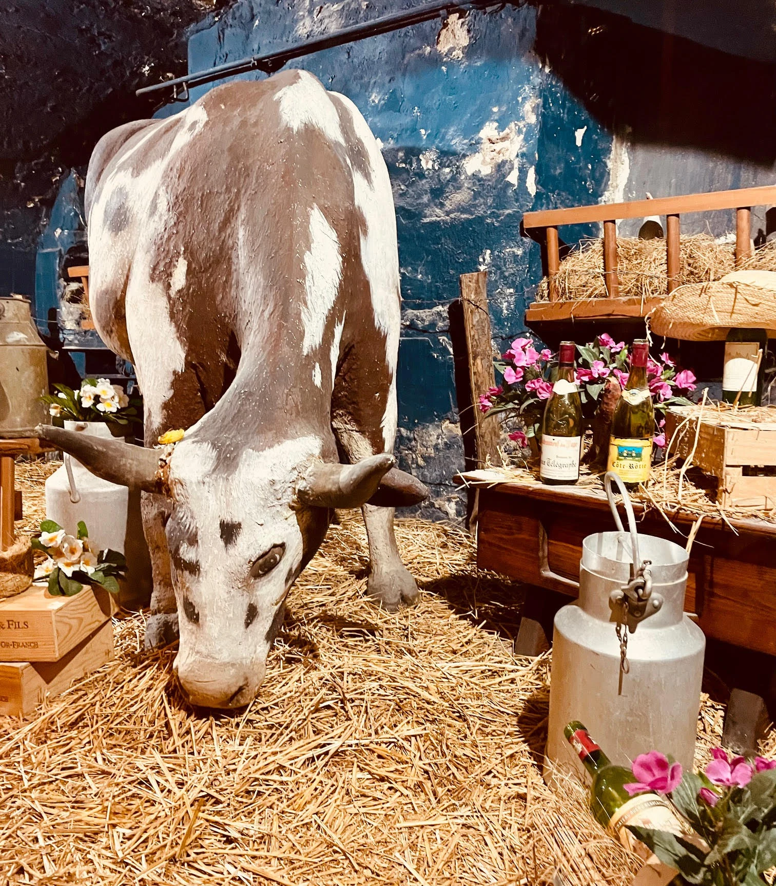 Maître Bœuf - photo 6