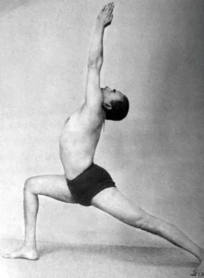 YogaOwl - photo 3