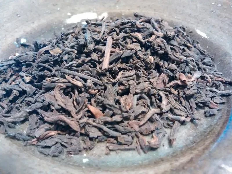 Eclos - photo 3