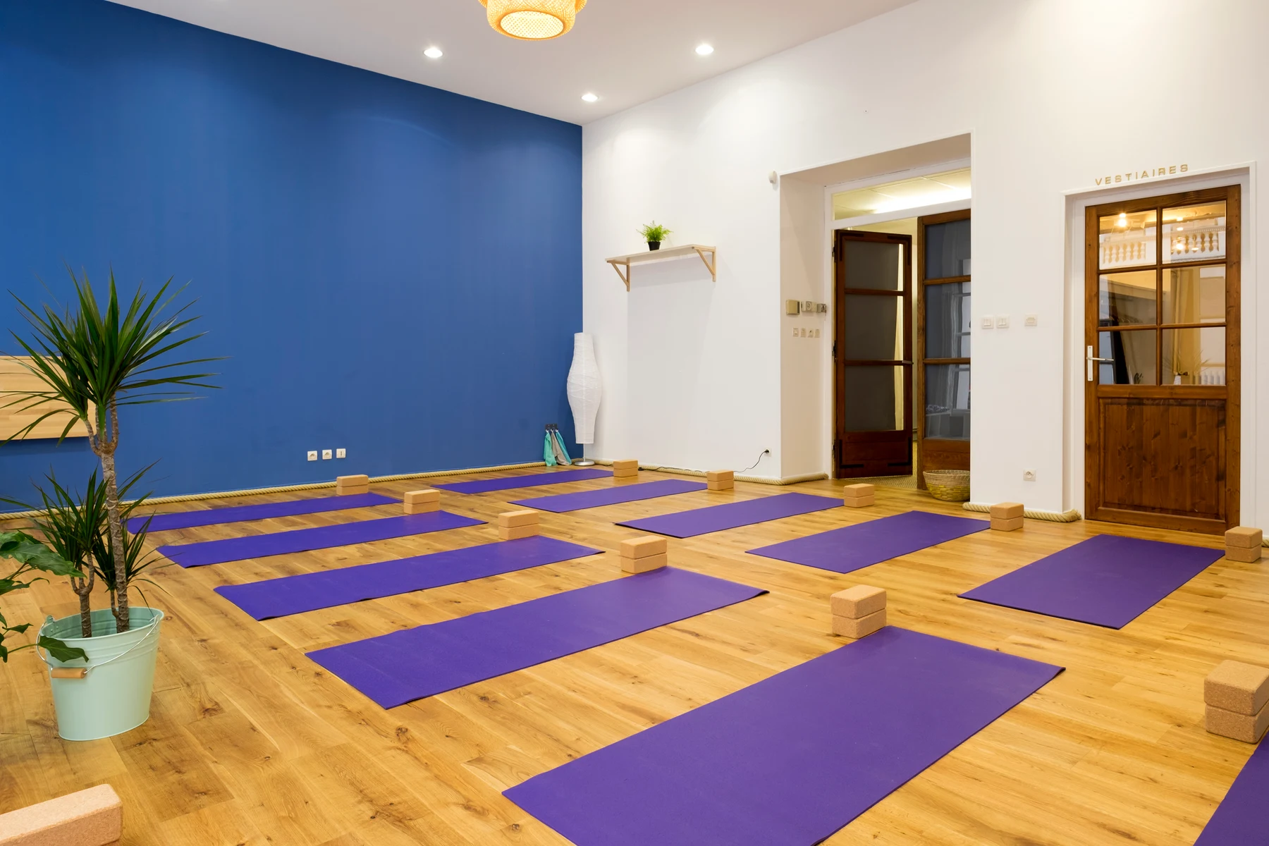 Small Yoga Pilates - photo 3