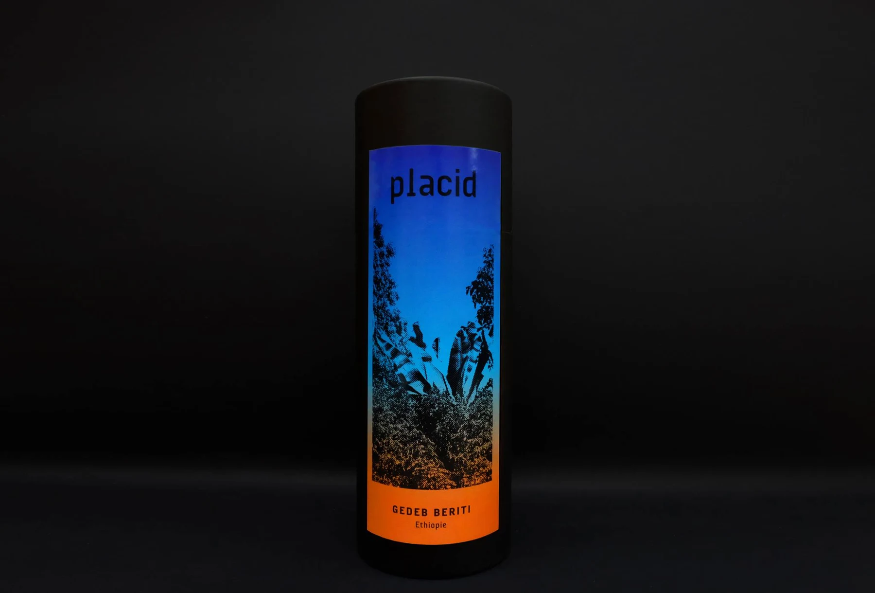 Placid - photo 3