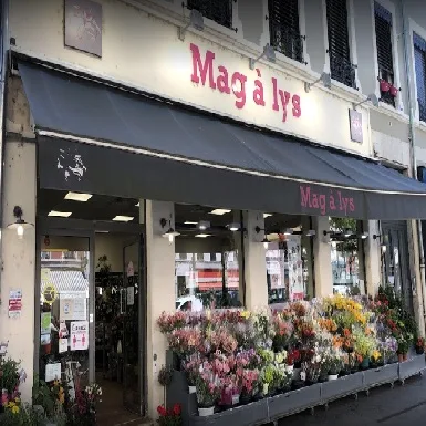 Mag A Lys - photo principale
