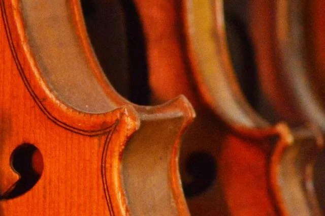 Luthier Charlemagne