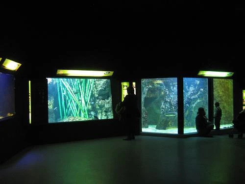 Aquarium de Lyon - photo 2