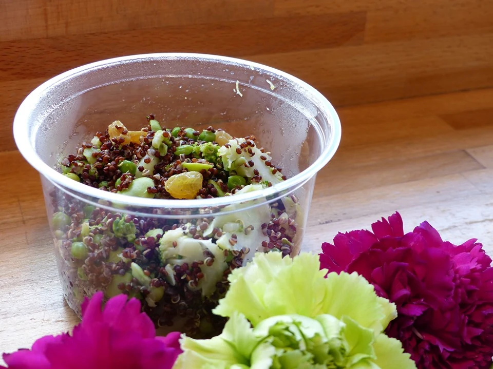 Daily Happy Food - photo 2