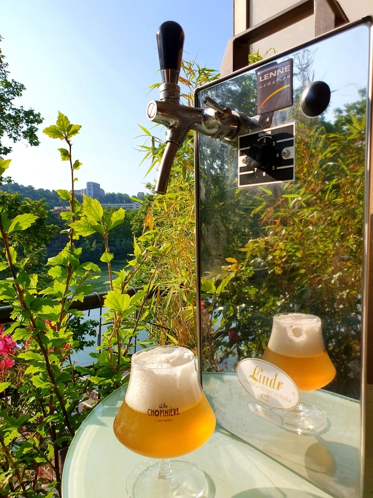 La Chopinière - photo 13