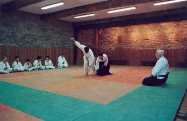 CLAM (Centre Lyonnais des Arts Martiaux) - photo 3