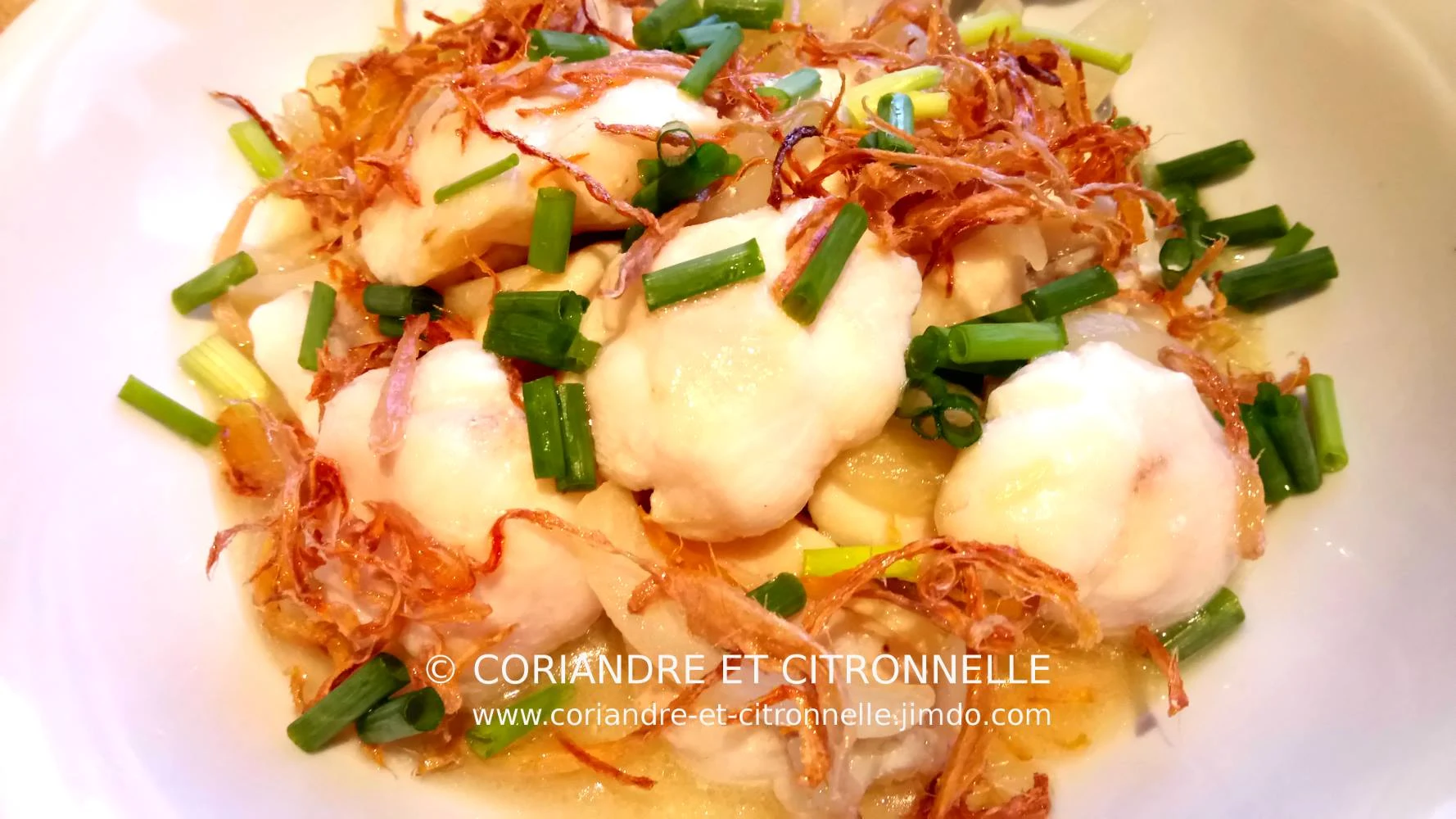 Coriandre et Citronnelle - photo 3