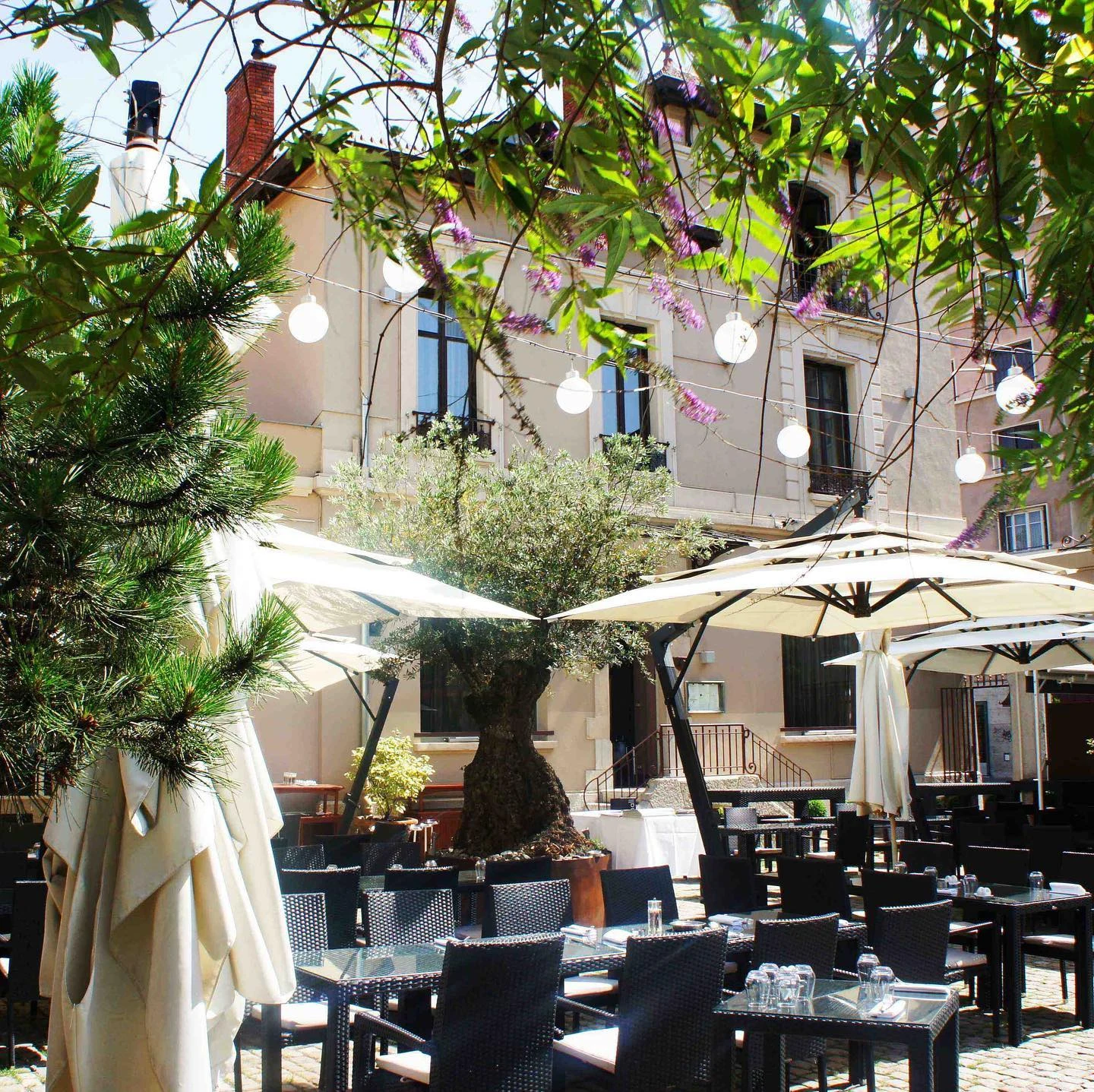 Victoria Hall - Restaurant - photo 4