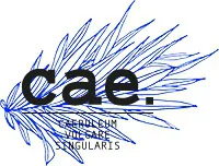 cae. - photo 2