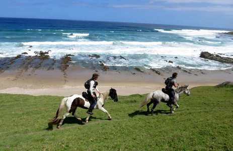 Cheval d'Aventure - photo principale