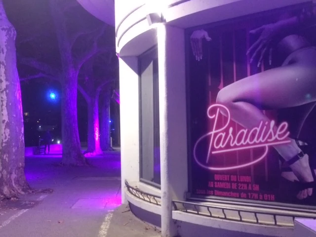 Bus Paradise - photo 4