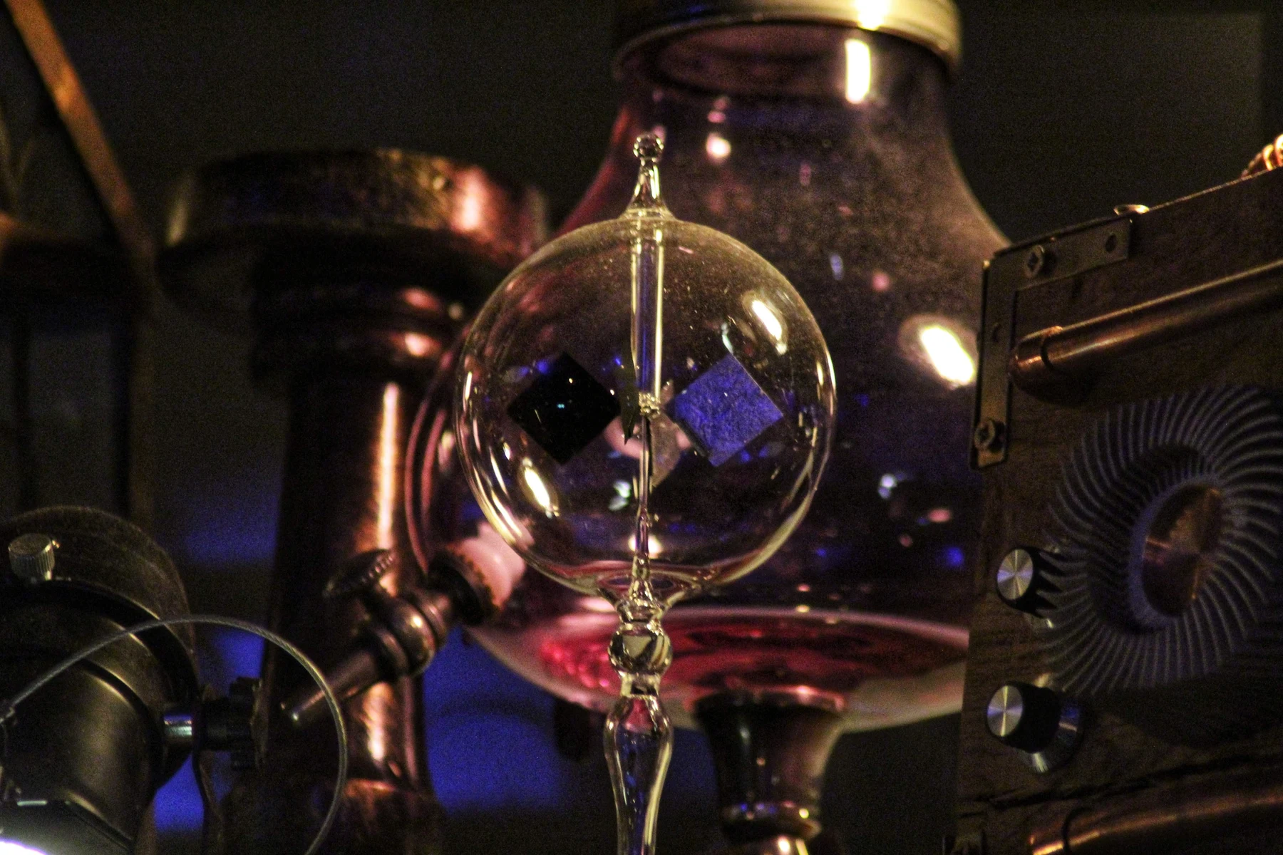 Skull - photo 2