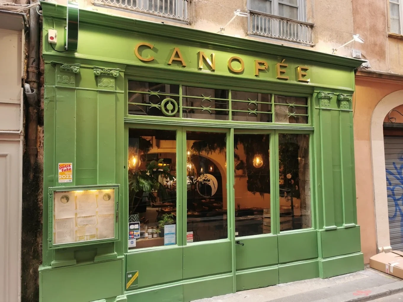Canopée - photo principale