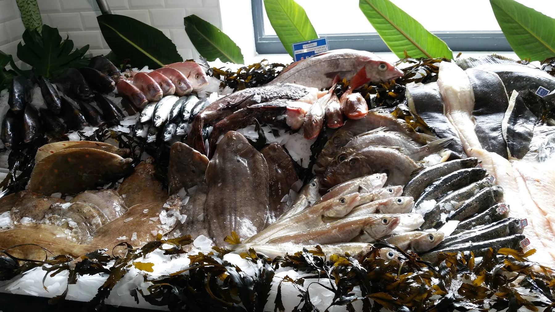 La Poissonnerie - photo 2