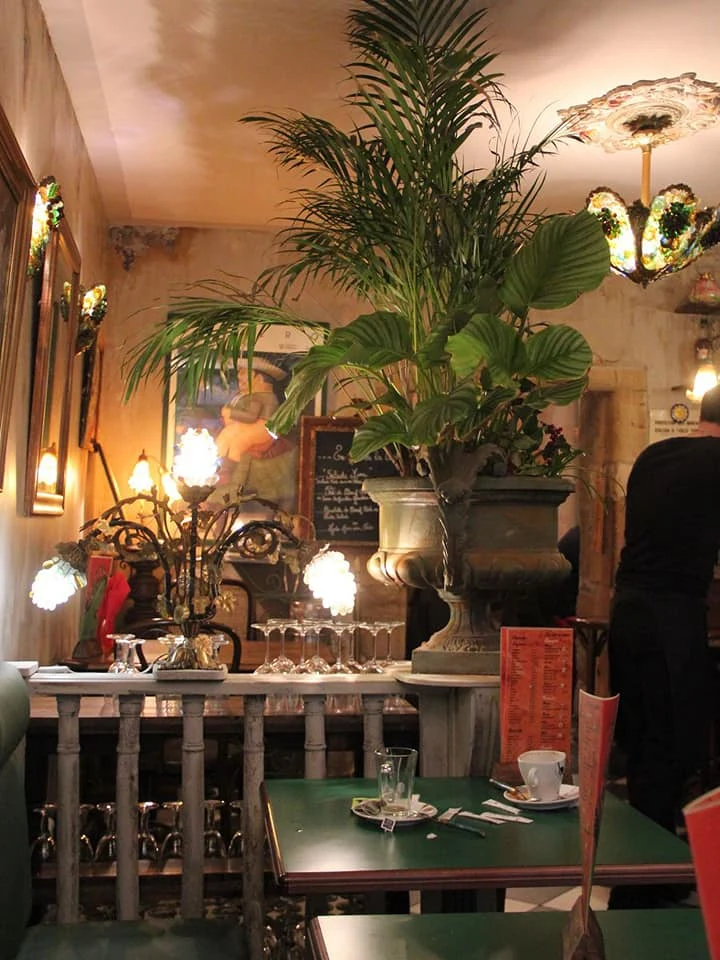 Sol Café - photo principale