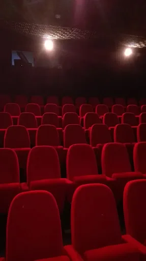 CinéDuchère - photo 2