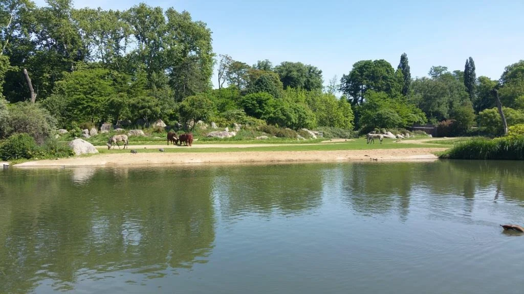 Parc de la Tête d'Or - photo 2