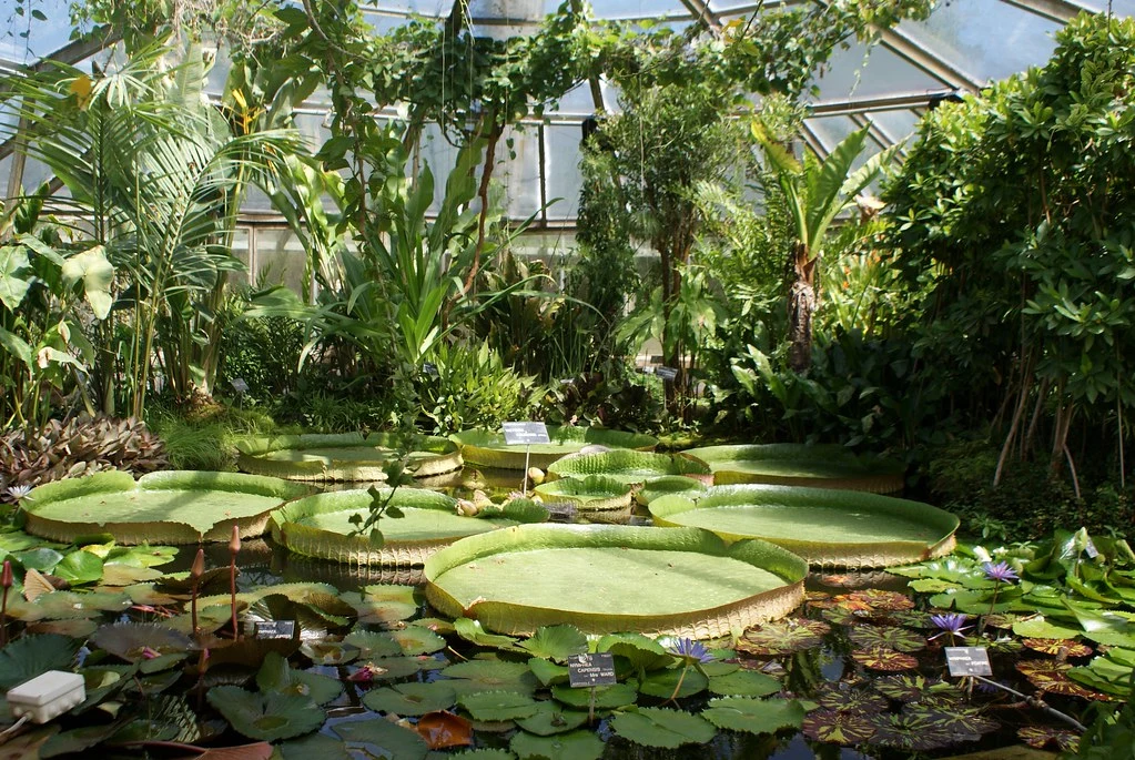 Jardin Botanique - photo 2