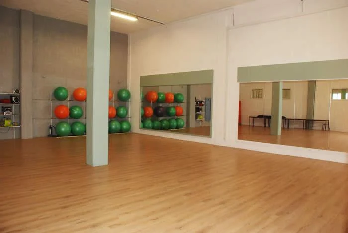 DOJO YOSEIKAN BUDO