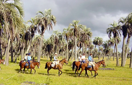 Cheval d'Aventure - photo 3