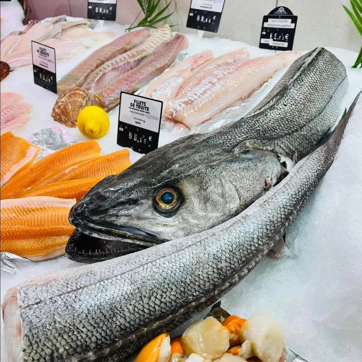 Le Comptoir de l'Océan - photo 2